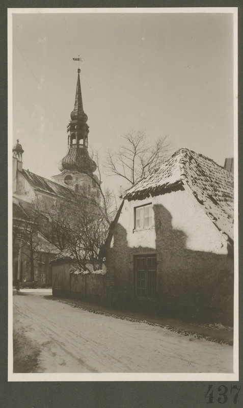 Tallinn. Vaade Tallinna toomkirikule edelast.
