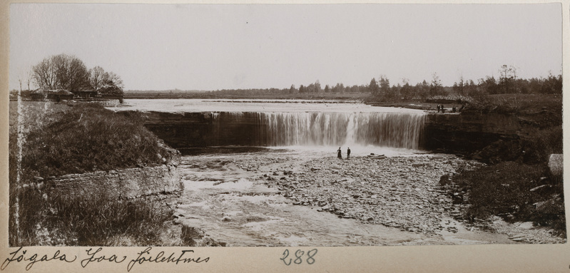 Foto albumis