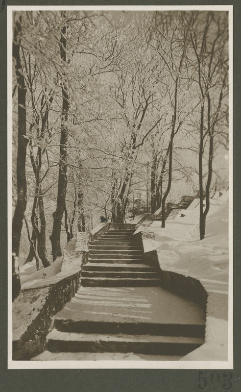 Tallinn. Kadriorg. Katariina trepp.