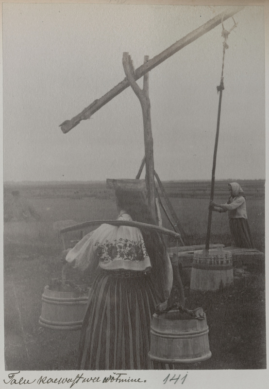 Foto albumis