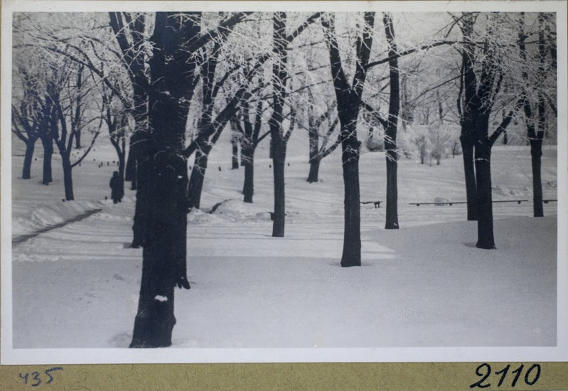 Tallinn. Lumine park.