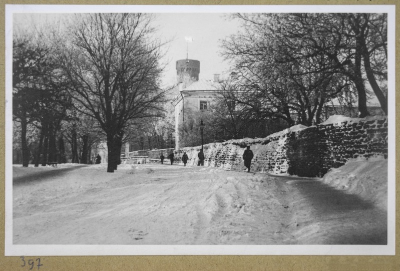 Tallinn. Vaade Komandandi teelt Pikale Hermanile.