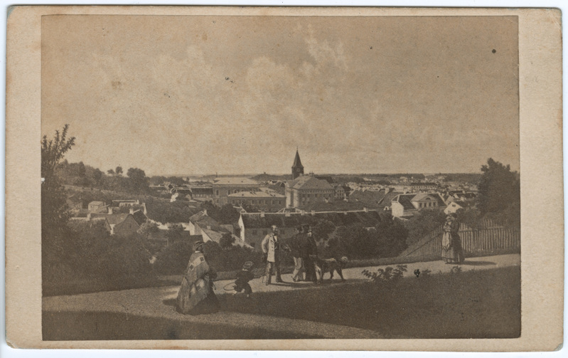 Fotorepro Louis Höflingeri litograafiast. Vaade Tartule Toomelt