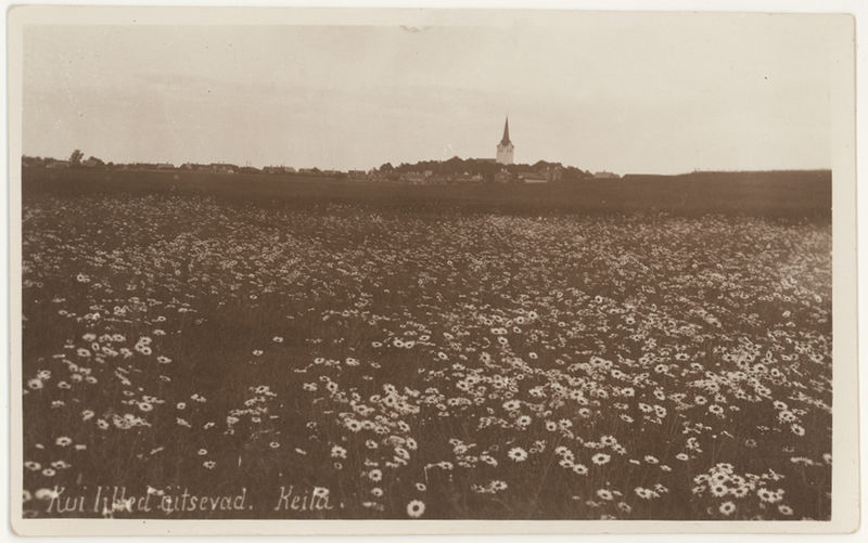 Keila vaade