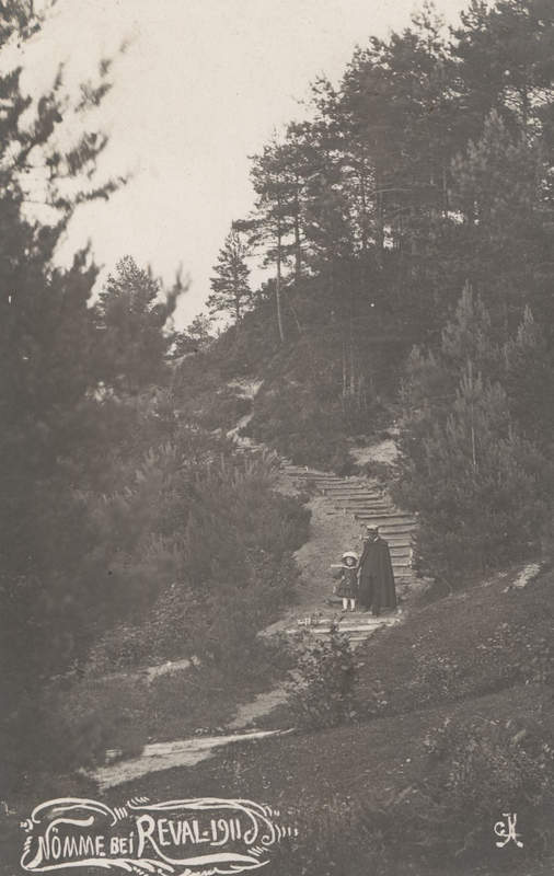 Nõmme metsas