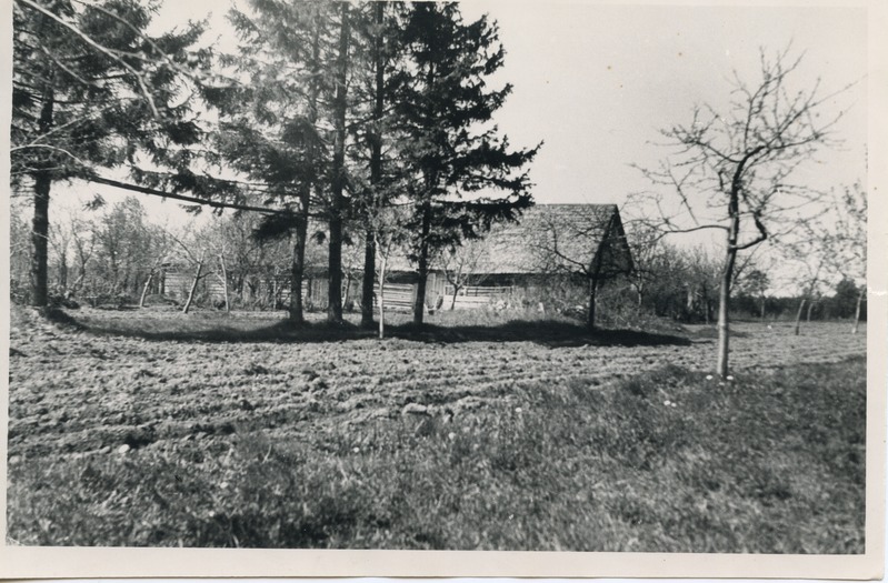 Vaade rehielamule (Kalmuse)