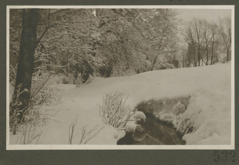 Talvine vaade metsale.