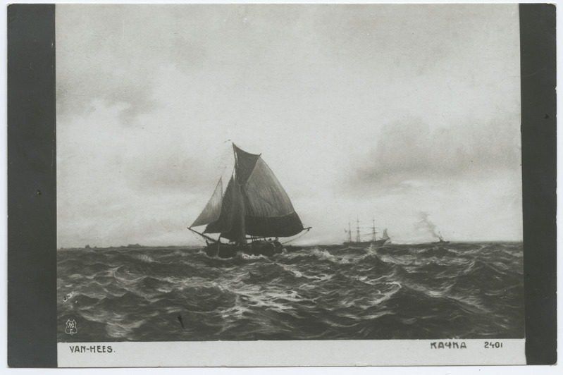 Purjelaev merel