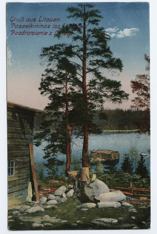 Vaade Leedu metsajärvele