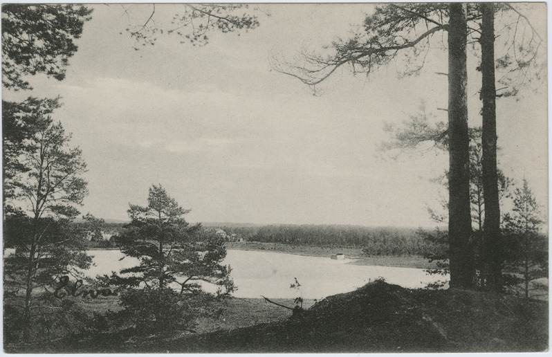 Arbi järv Elvas