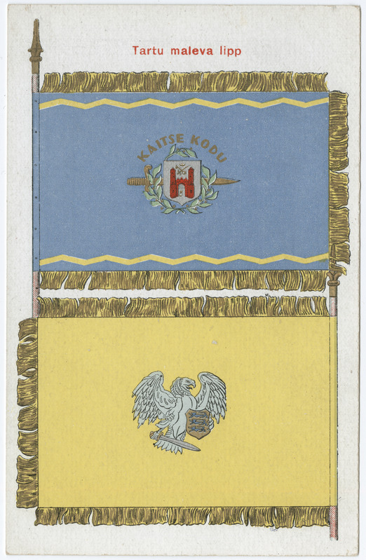 Kaitseliidu Tartu maleva lipp - esi- ja tagakülg
