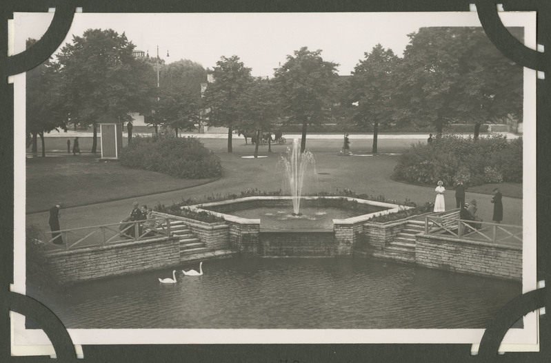 Vaade, Tallinn. Vaade Snelli pargile, tiigile ja purskkaevule. Fotol näha Snelli pargis jalutavaid inimesi ja tiigis ujuvaid luikesid. Taga puude vahelt paistab kuivkäimla.