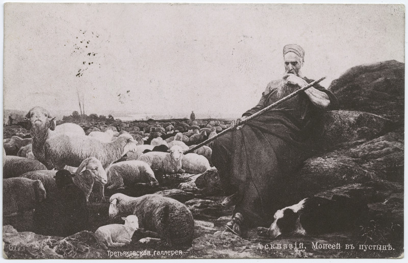 Mooses kõrbes lammaste keskel.