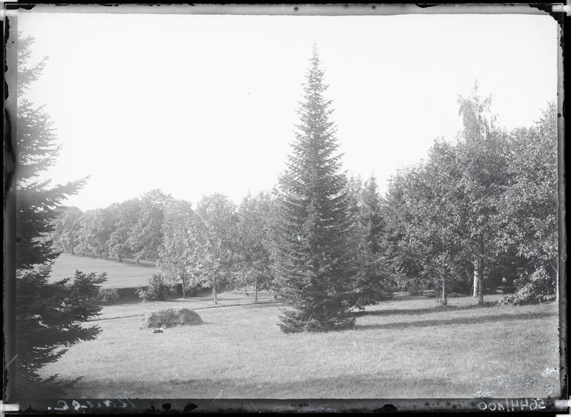 Rõuge mõisa park