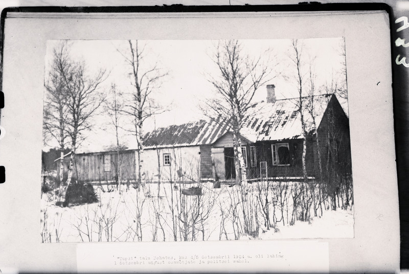 Tupsi talu Nehatus, kus 4-5.12.1924 toimus laging 1. detsembri riigipöördekatses osalenute ja politsei vahel.