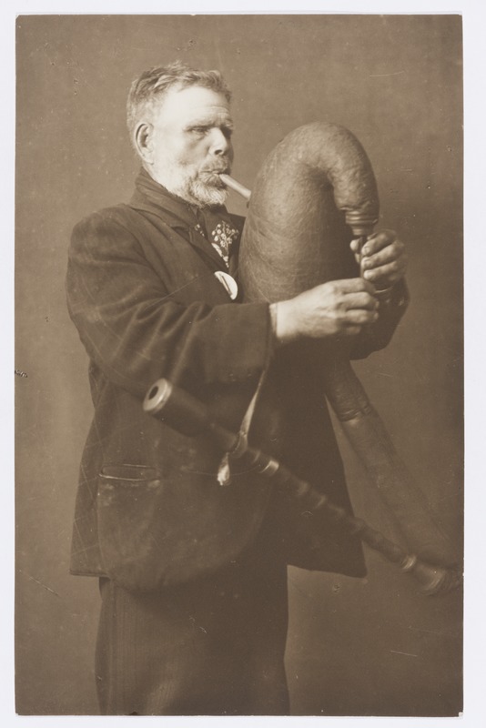 Torupillipuhuja (Torupilli Juss).