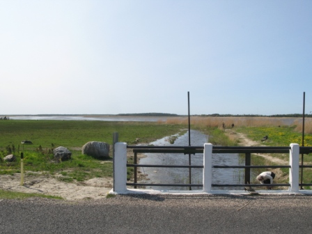 Esiküla küla sild ja kalamehed