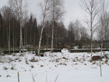 Metsküla, Kõrve talu