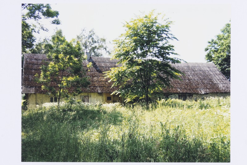 Taneli talu rehemaja tagakülg Parasmäe külas