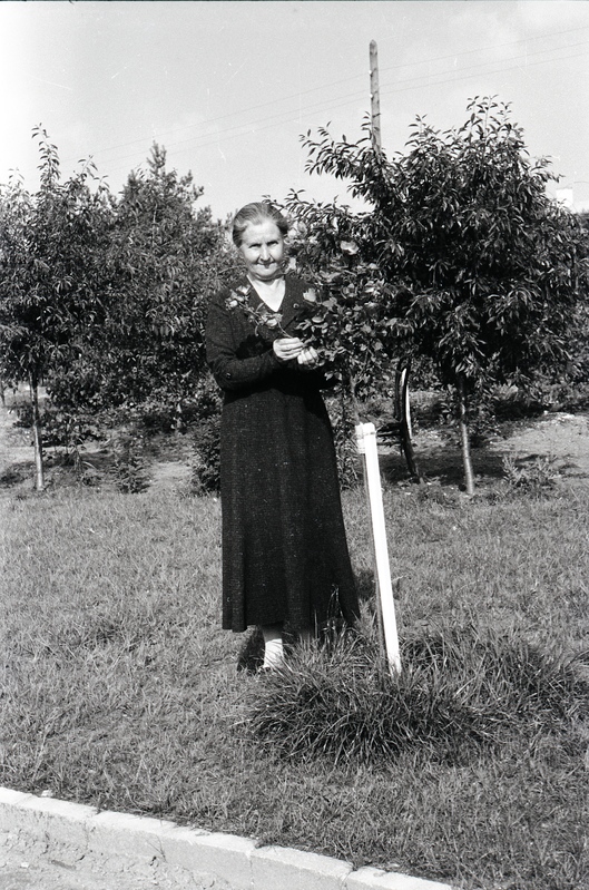 Naine puu juures seismas (Jakobson)