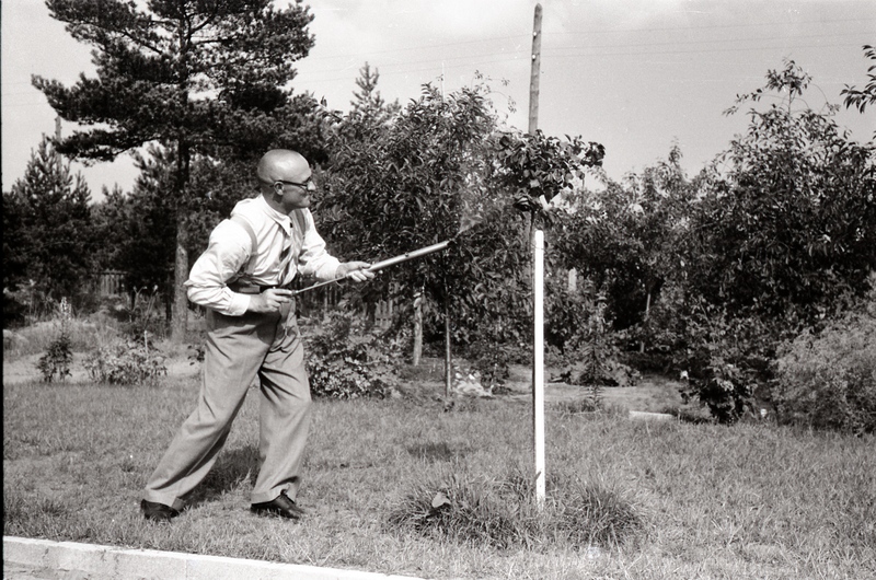 Mees puid pritsimas (Jakobson)