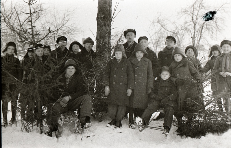 Poisid seismas ja istumas kelkudel puu juures (Poeglastekooli õpilased Tartu Peetri kiriku juures asuval liuväljal)