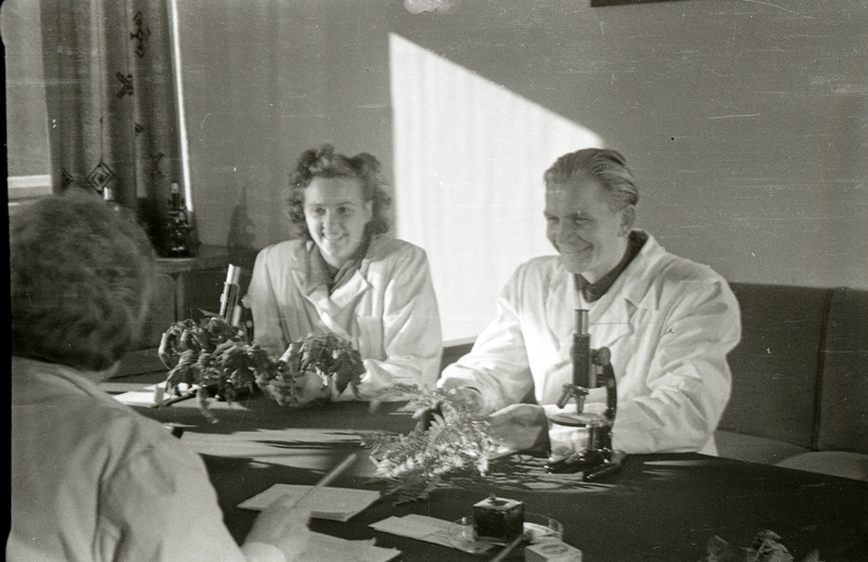 TRÜ farmakognoosiakateedri juhataja (1940-63) prof Alma Tomingas (esiplaanil seljaga) ja TRÜ farmakognoosiakateedri assistent Johannes Tammeorg ( paremal) ja naine kirjutuslaua ümber (TRÜ farmaatsiakateeder koos Moskva filmimeestega)
