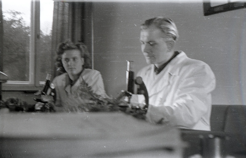 TRÜ farmakognoosiakateedri assistent Johannes Tammeorg (paremal) ja naine kirjutuslaua taga (TRÜ farmaatsiakateeder koos Moskva filmimeestega)