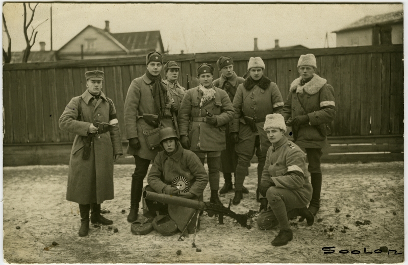 Rootsi vabatahtlikud Narvas