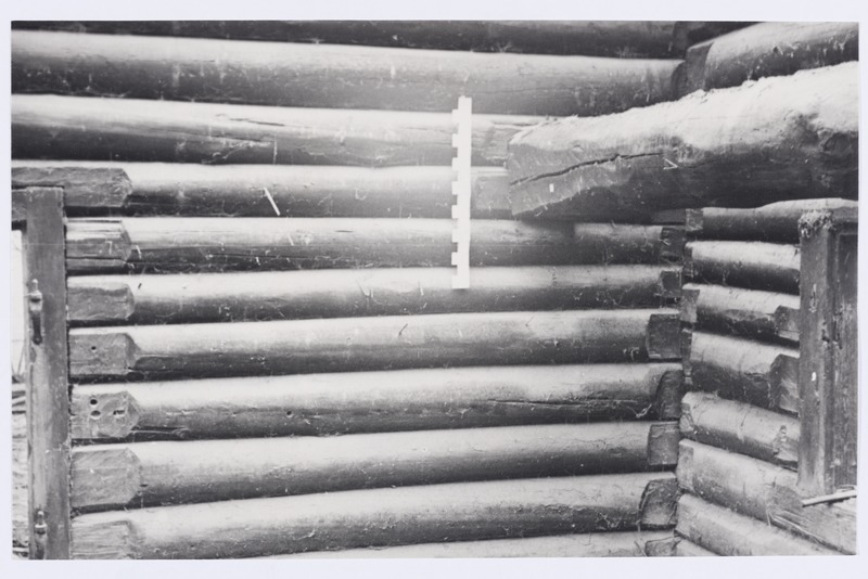 Rusi rehemaja lahtivõtmine, rehetoa sein