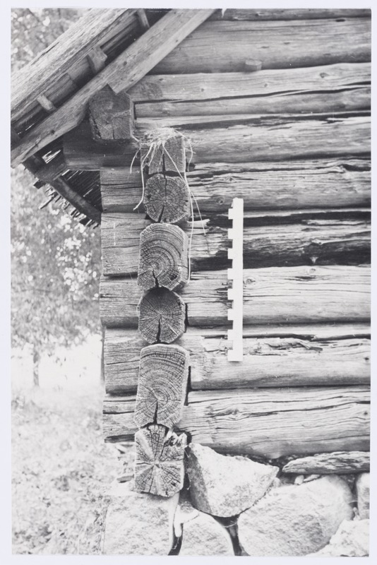 Rusi talu laut-küün, lauda otsasein tagakülje ristnurgaga.