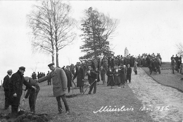 Puude istutamine Müüsleri Vabadussõja mälestussamba juures