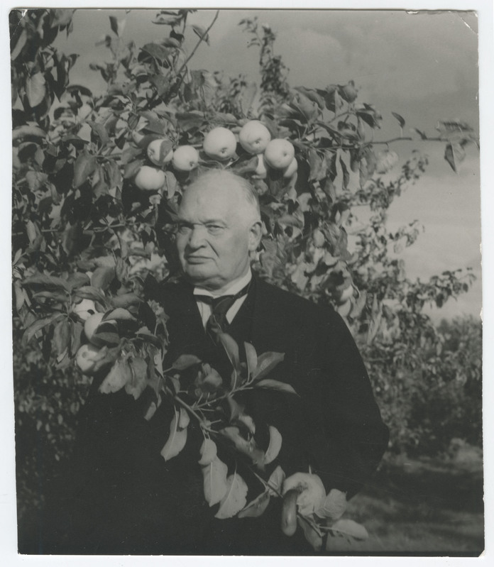 Portree: Konstantin Päts õunapuu all.