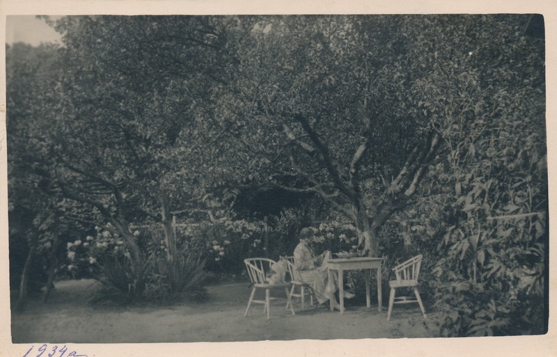 Rakvere, Pikk tänav 50 aias