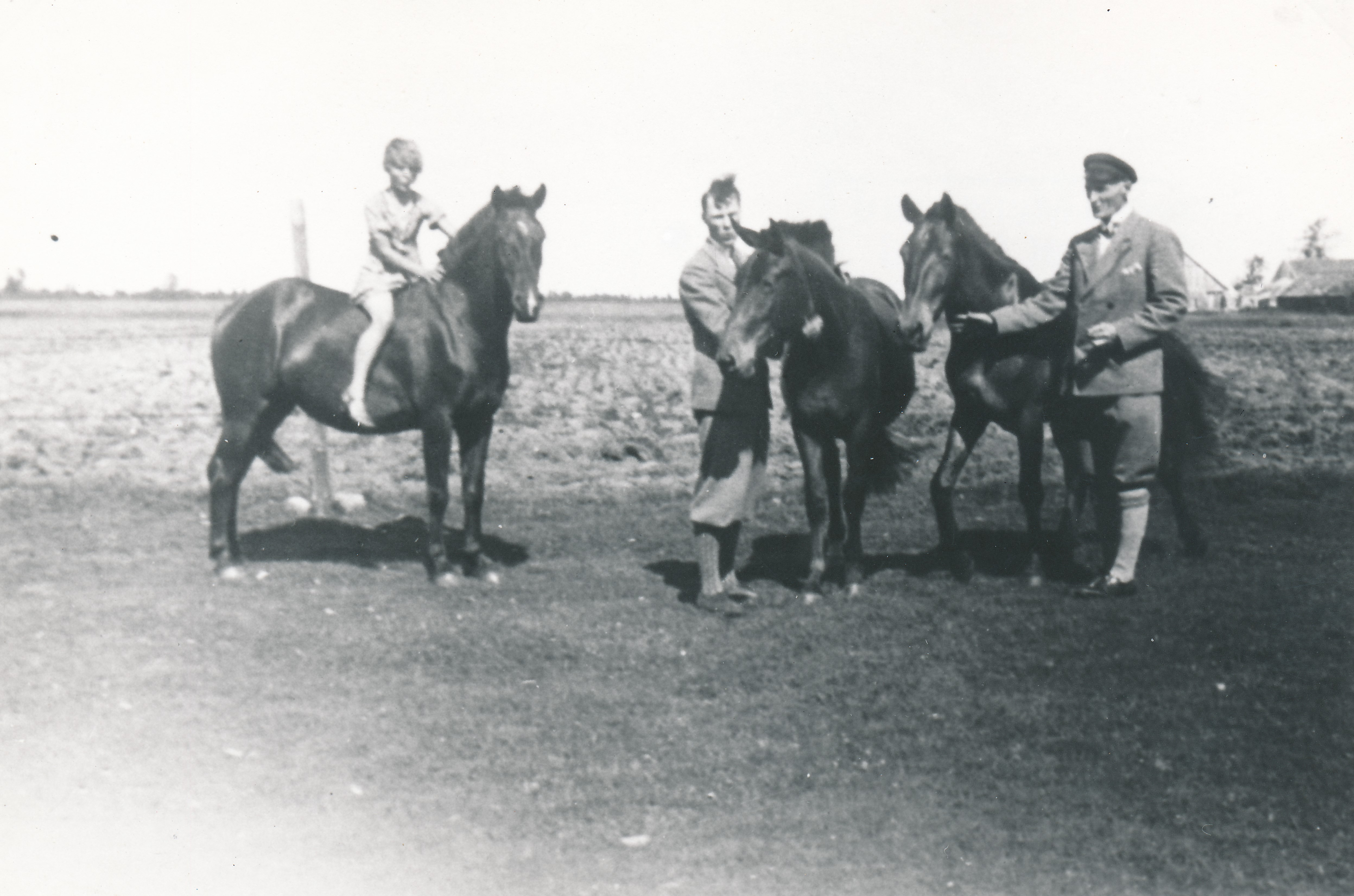 Vanamõisa, Von Brevern'id hobusekoplis, 1939.