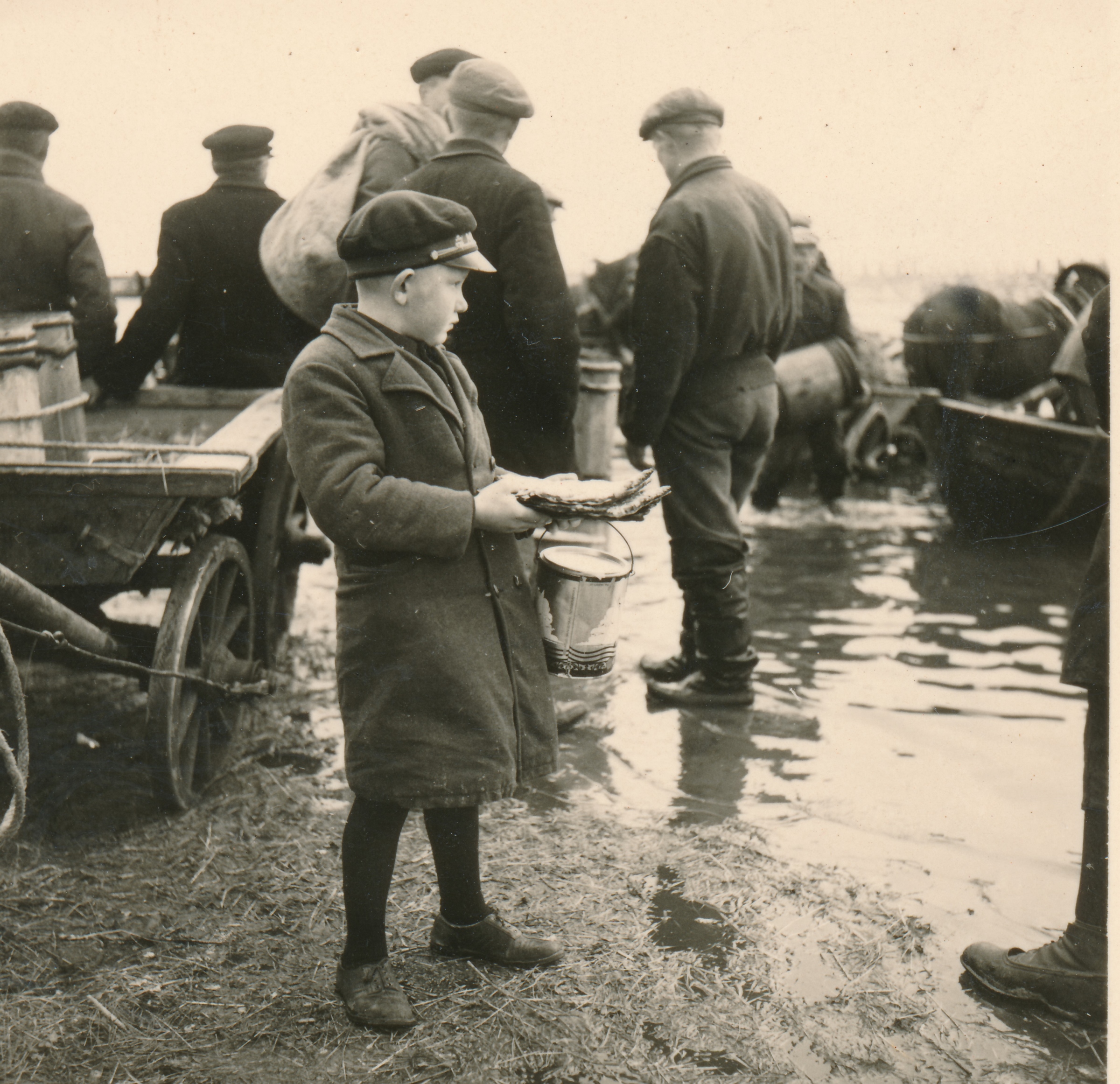 Silgulaat Kaupsaare sadamas Mahu rannas