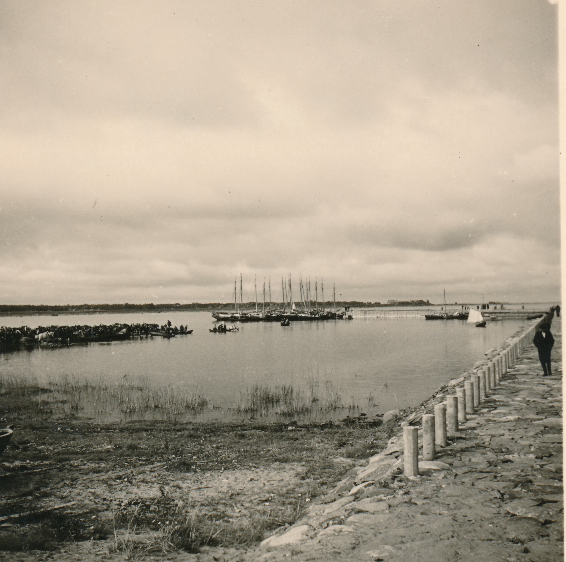 Silgulaat Kaupsaare sadamas Mahu rannas