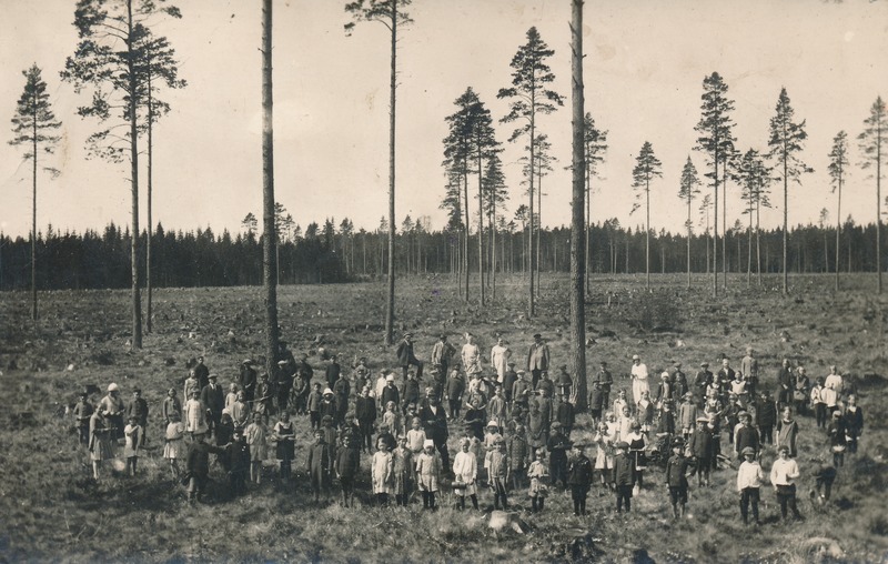 Õpilased metsa istutamas