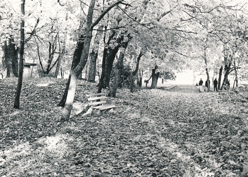 Rakvere, Rahvapark