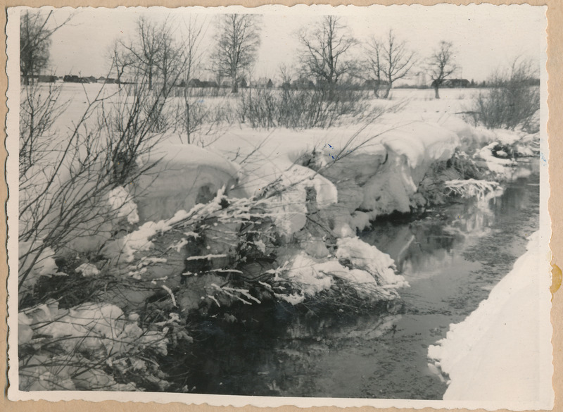 Vaade Rakverele ojale