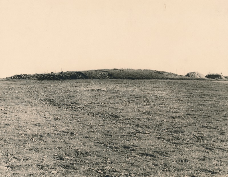 Sugukondlik kalmistu Jäbaral