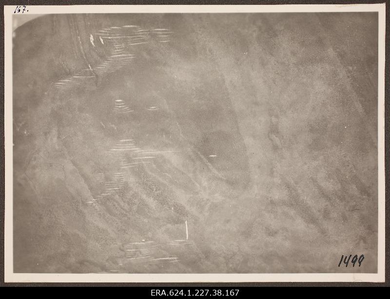 View from air to landscape; photo 1. Number of photo positives in the air force auction