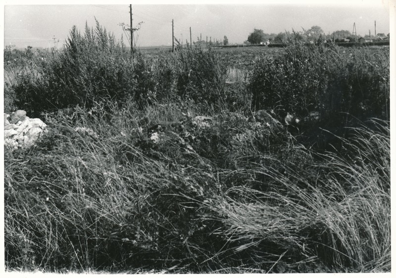 Kultusekivi Varja küla idaserval