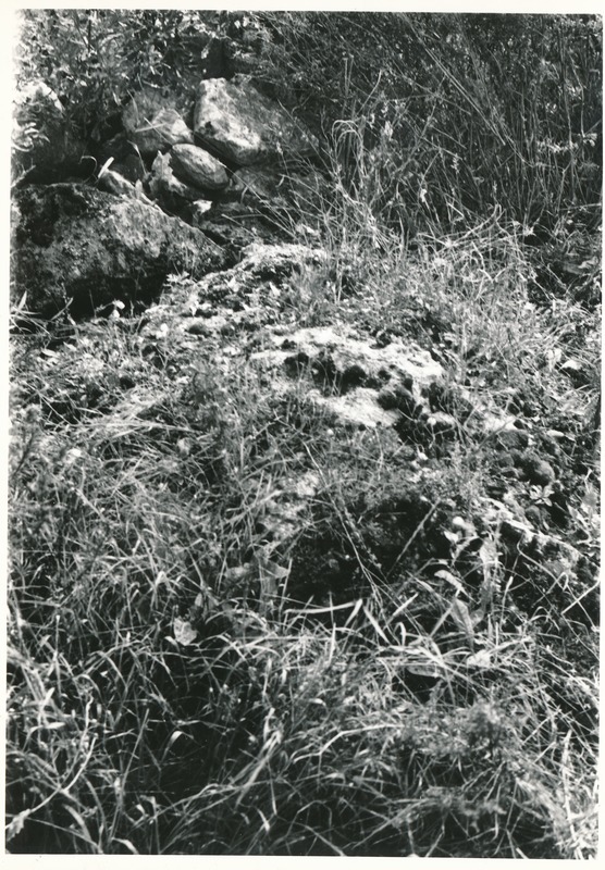 Kultusekivi Varja küla idaserval