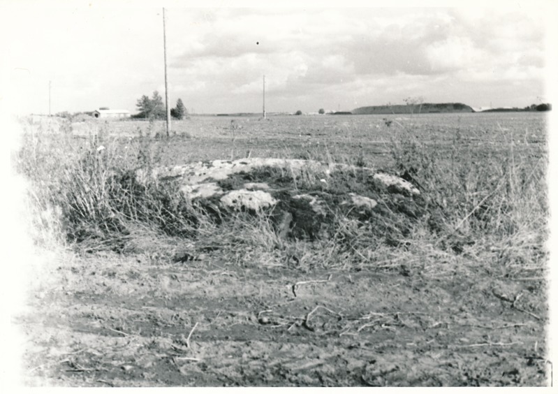 Kultusekivi Maidla külas