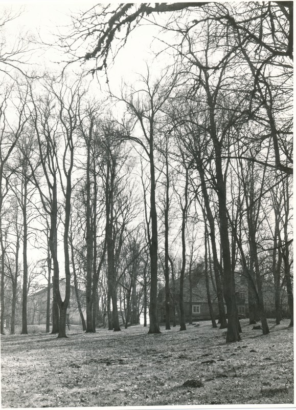 Varangu, kunstnik E. Viiralti kodu