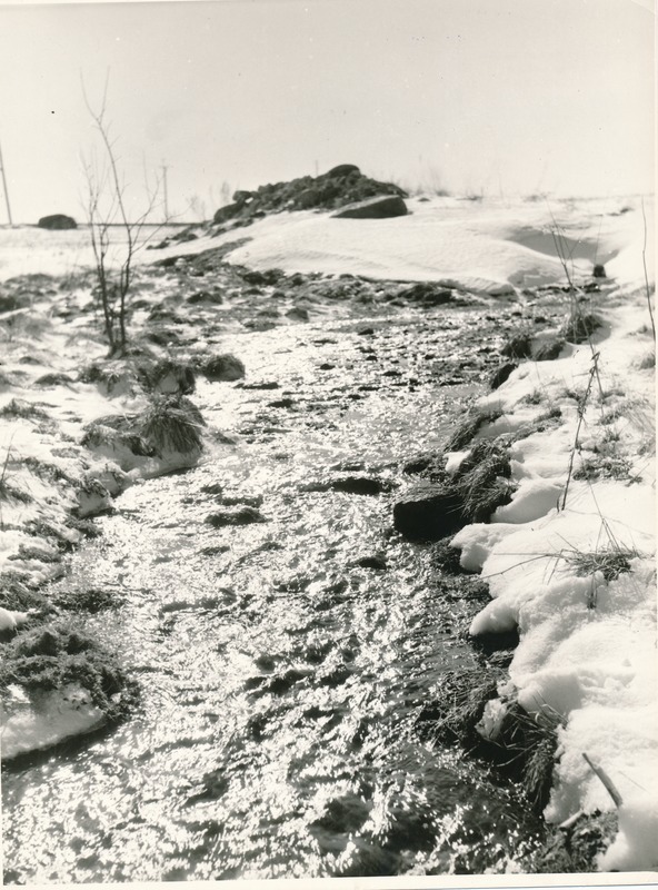 Rägavere