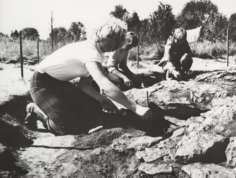 Arheoloogilised kaevamised Sarapikul