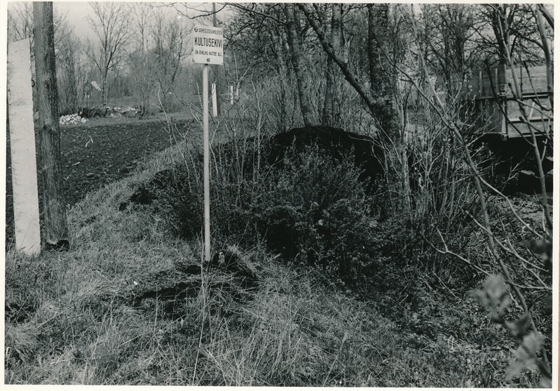 Kultusekivi Tallinn-Narva mnt Sausti asulasse pöörduva tee läänekaldal