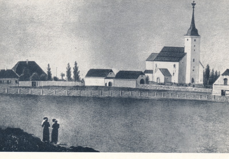 Baeride suguvõsa kabel Koerus